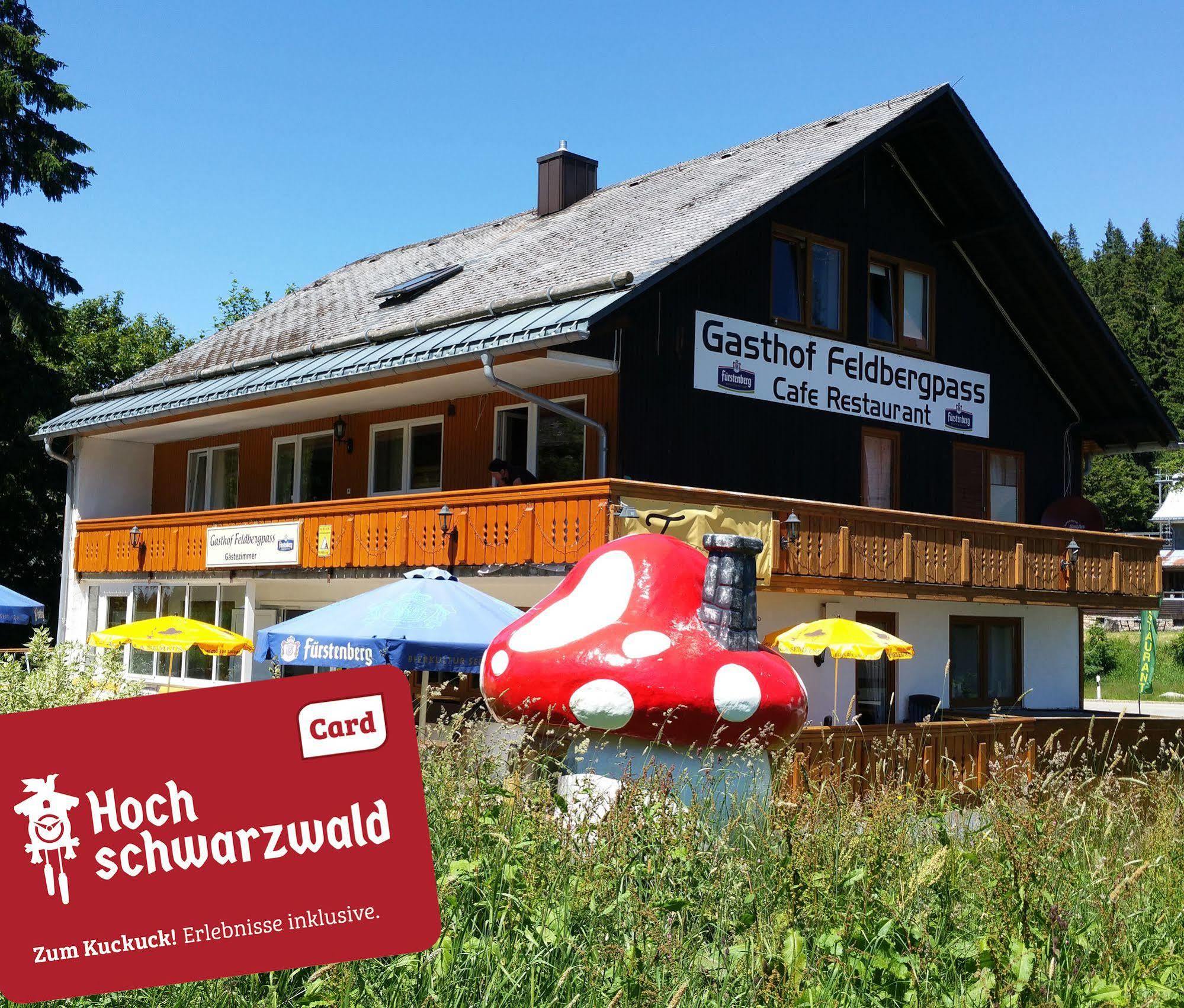 Hotel Feldbergpass Feldberg  Exterior photo